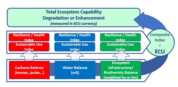 NCAblog_ENCA_IUCN(1)