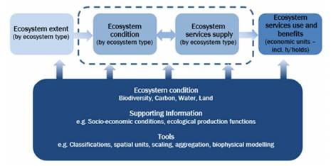 NCAblog_ENCEEA-CDP