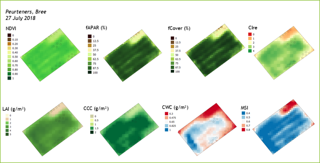 Comparison_veg_indices_satellite-1