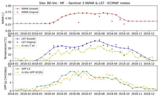 Sentinel 3 observations for an in-situ GPP site located in a forest in Belgium