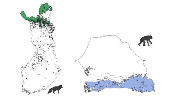 Clusters representing connected potential habitat for Arctic Fox (green) in Finland (left) and Chimpanzee (blue) in Senegal (right).