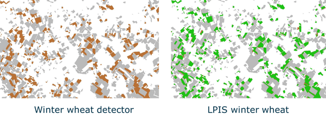 113_EWoC_WinterWheatDetection