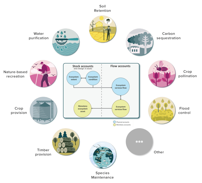 Connections between ecosystem accounts _ ecosystem services_V2