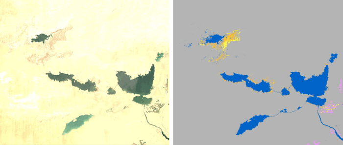 153_WorldCover2023_composite-map-2020-Egypt