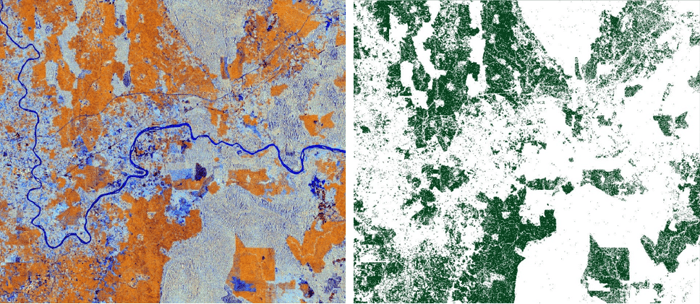 153_WorldCover2023_composite-map-2020-plantations