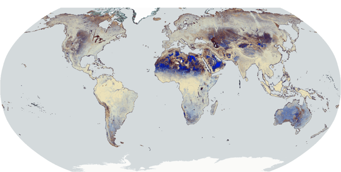 153_WorldCover2023_globalmosaicGAMMA0