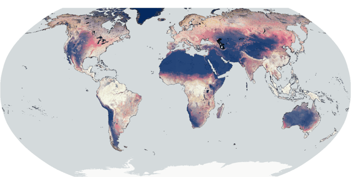 153_WorldCover2023_globalmosaicNDVI