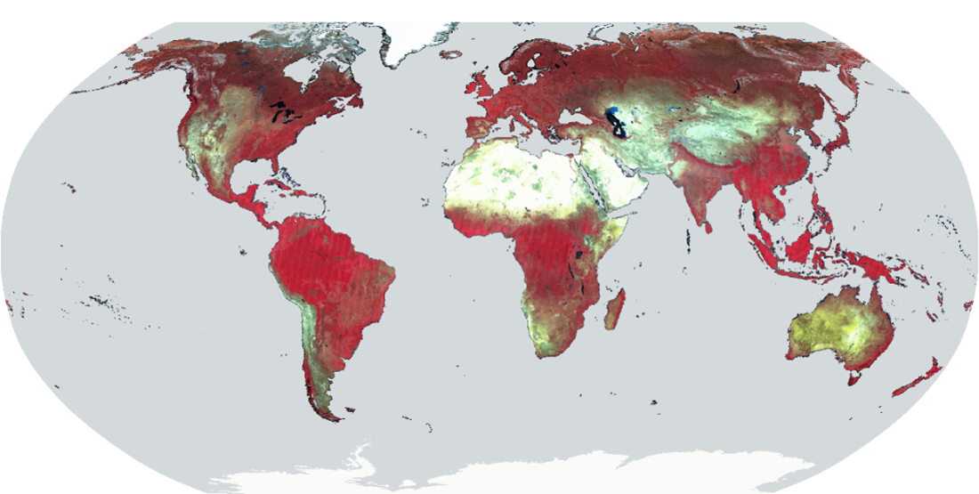 153_WorldCover2023_globalmosaicNIR