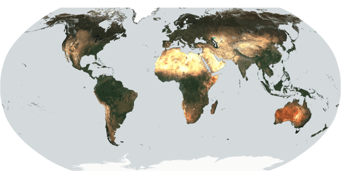 153_WorldCover2023_globalmosaicRGB