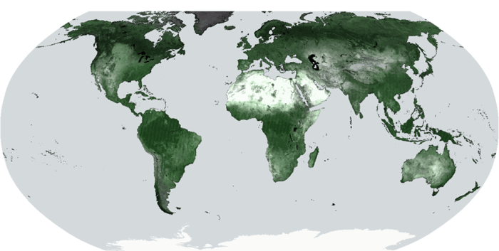 153_WorldCover2023_globalmosaicSWIR