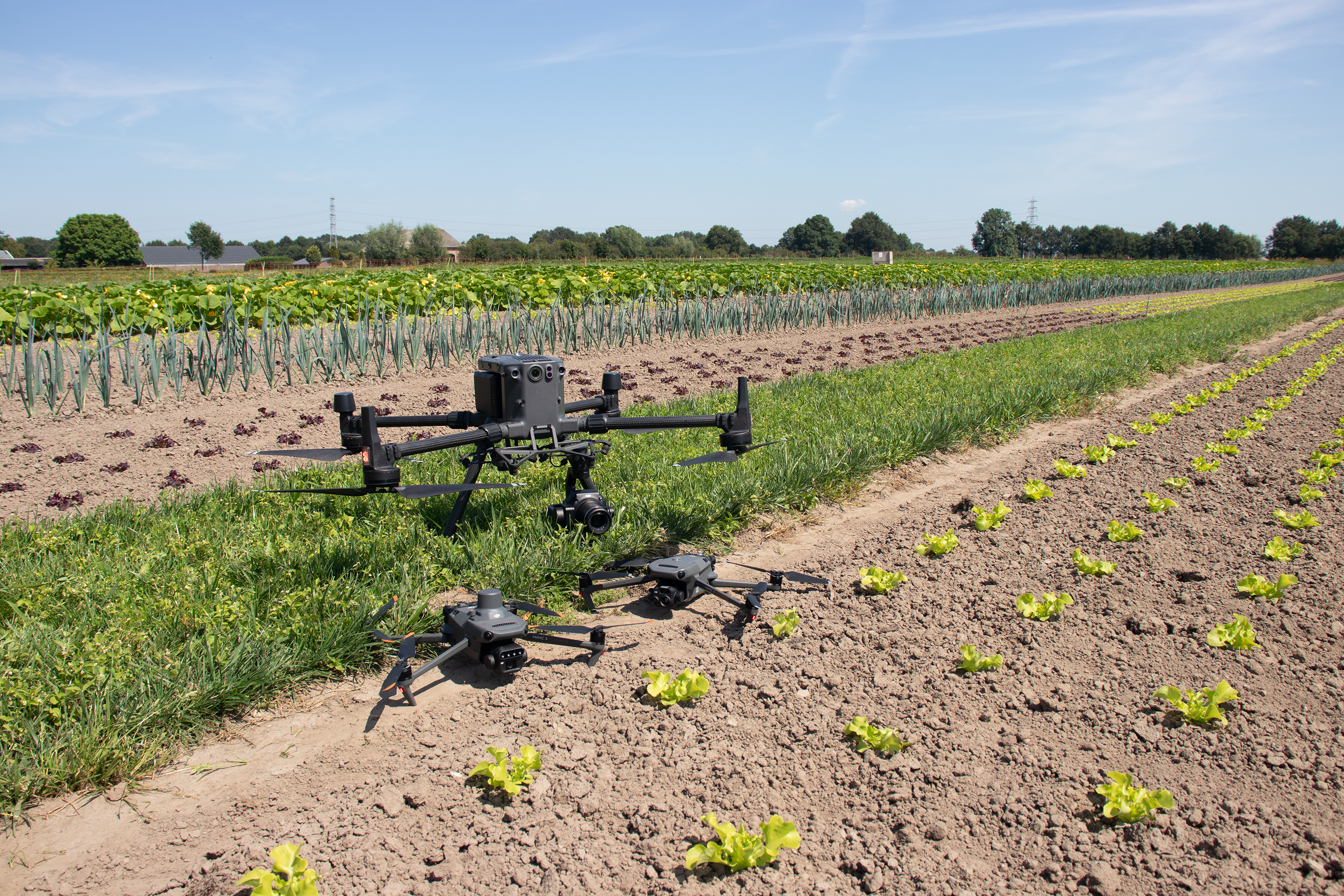 IMG_4308 - drones on strip cropping field 150 ppi