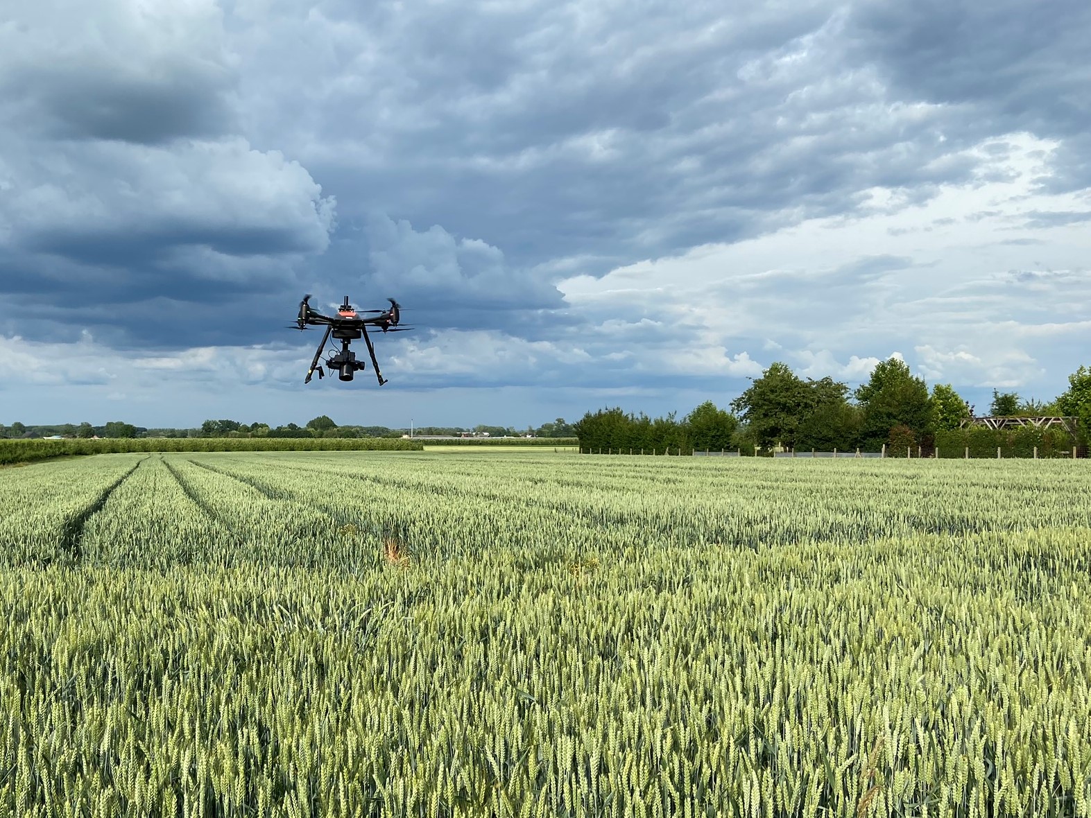 Object detection for plant phenotyping with Phase One and MAPEO