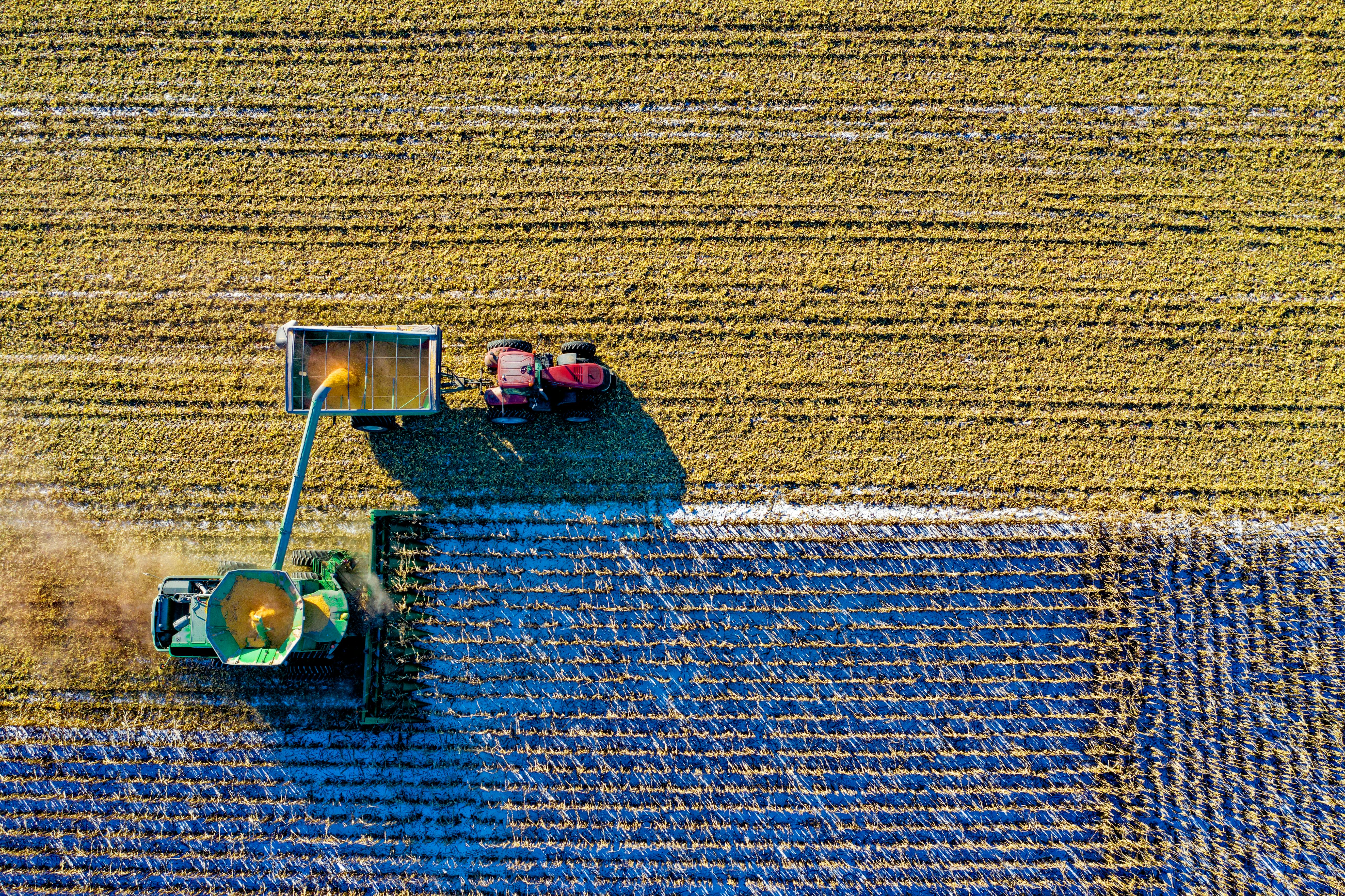 New Copernicus High-Resolution Layer on Croplands Launched for Europe