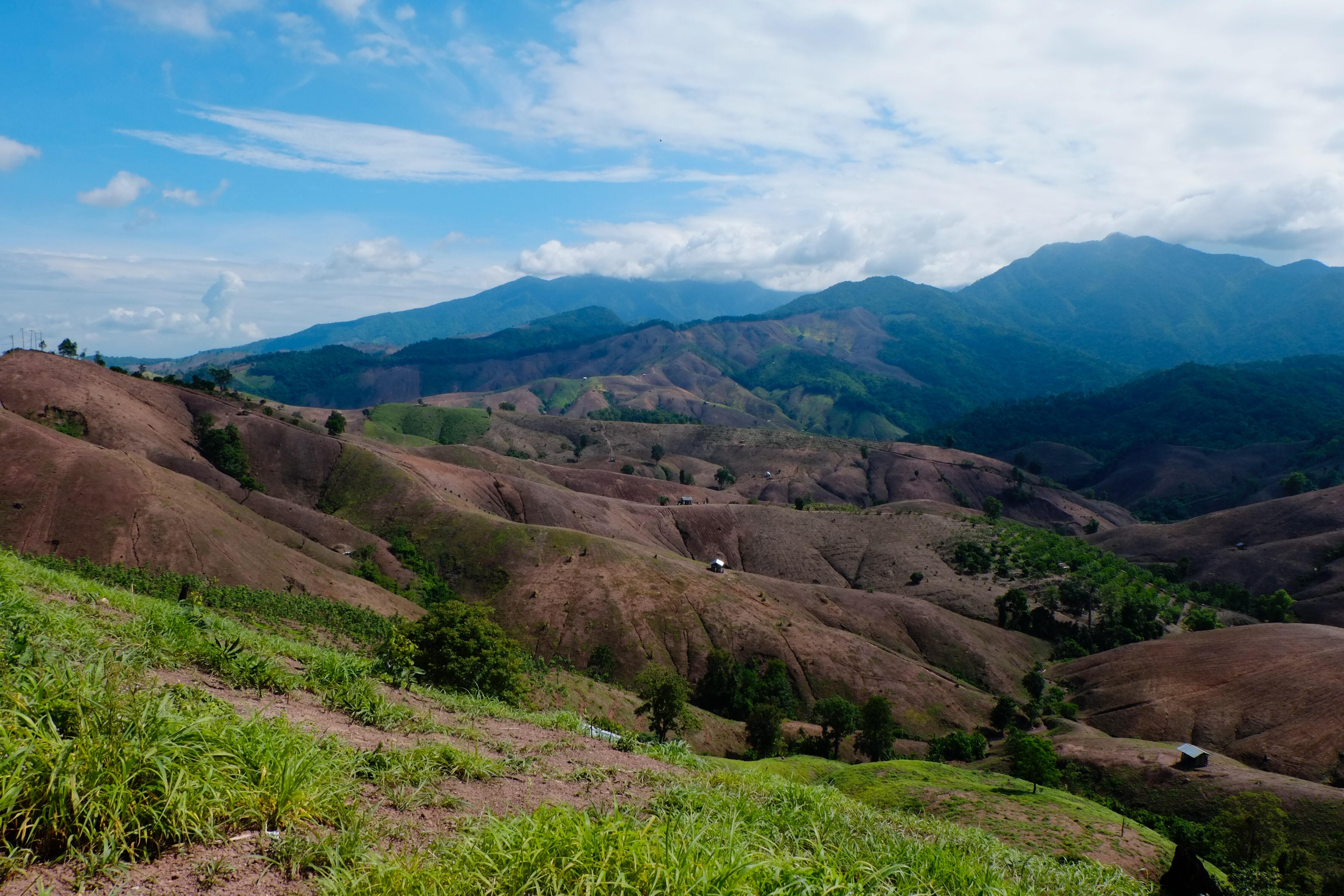 High-Resolution Land Degradation Neutrality Monitoring: Achievements of the ESA SEN4LDN Project